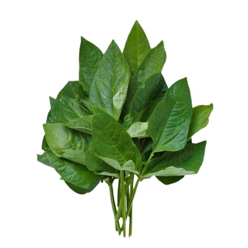 Fresh Organic Cowpeas Leaves (Kunde) - 1 Bunch